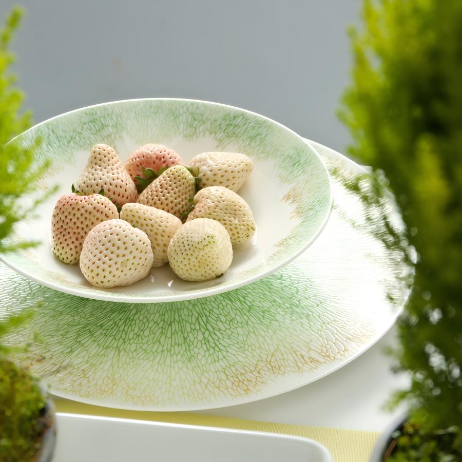 Lotus Leaf Series - Image 10
